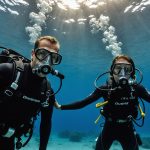 Rencontrez Jérôme Tellmi: Photographe Sous-Marin Expert et Sa Communauté Passionnée sur DivePhotoGuide